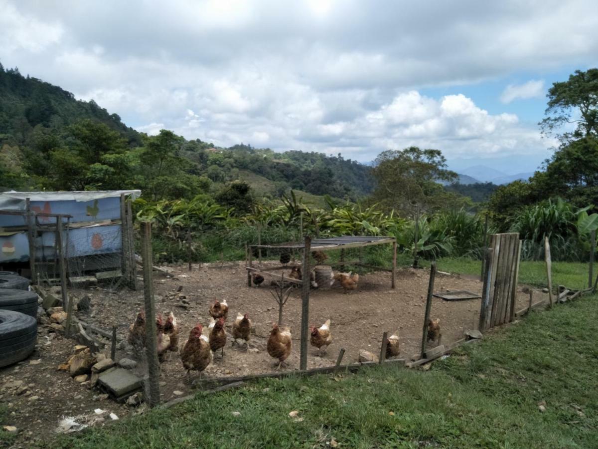 Jungle Jack Backpackers Hotel Kinabalu National Park Luaran gambar
